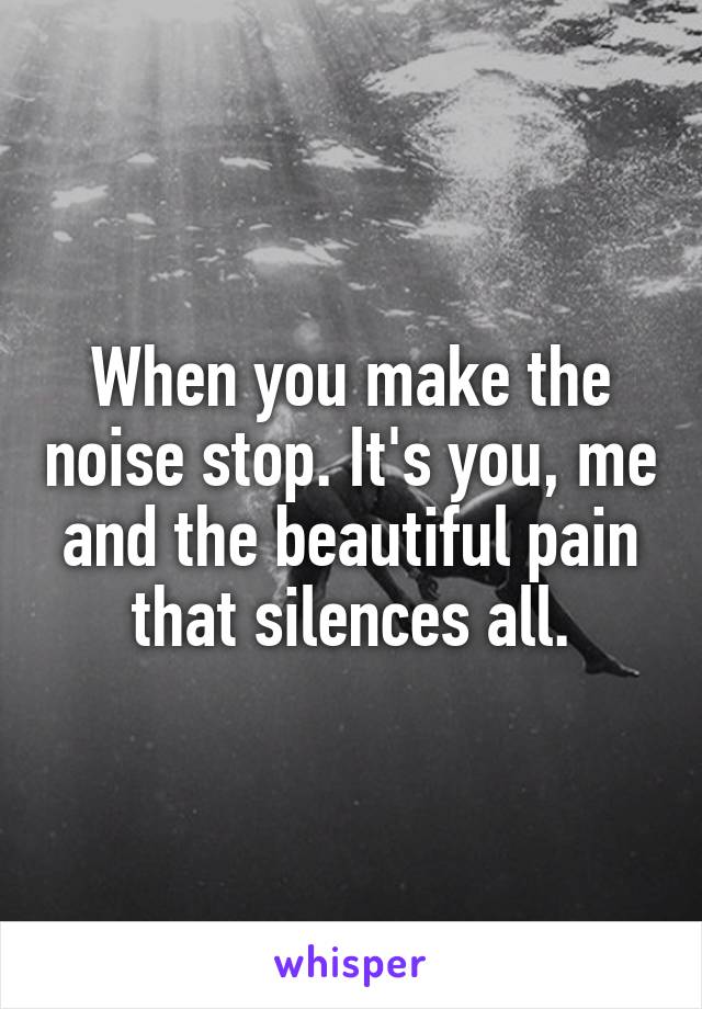 When you make the noise stop. It's you, me and the beautiful pain that silences all.