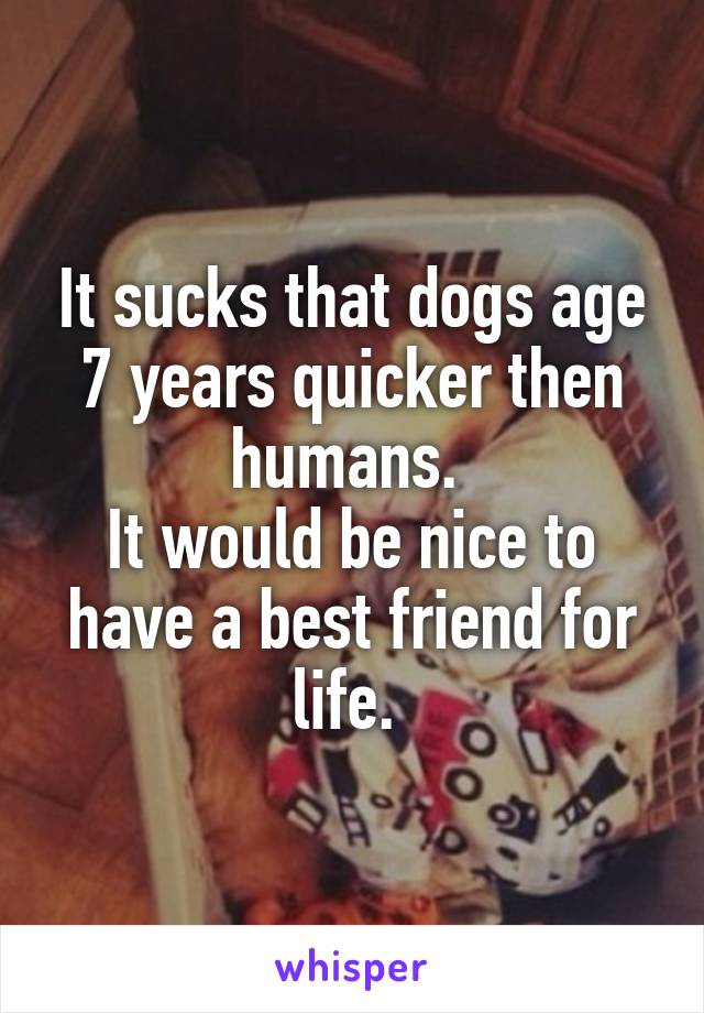 It sucks that dogs age 7 years quicker then humans. 
It would be nice to have a best friend for life. 