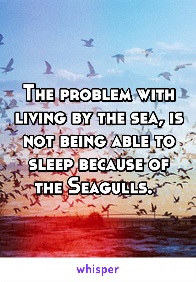 The problem with living by the sea, is not being able to sleep because of the Seagulls.  