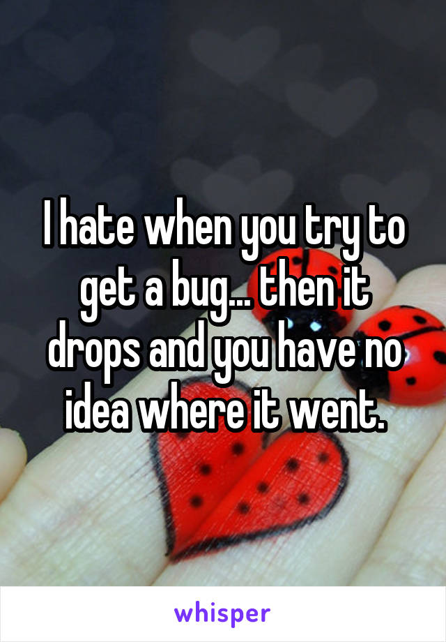 I hate when you try to get a bug... then it drops and you have no idea where it went.