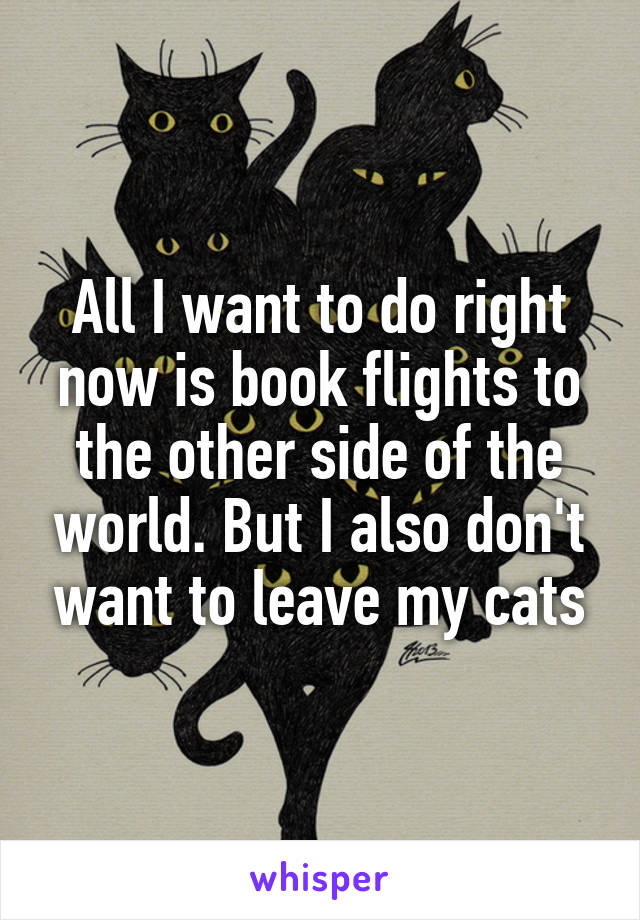 All I want to do right now is book flights to the other side of the world. But I also don't want to leave my cats