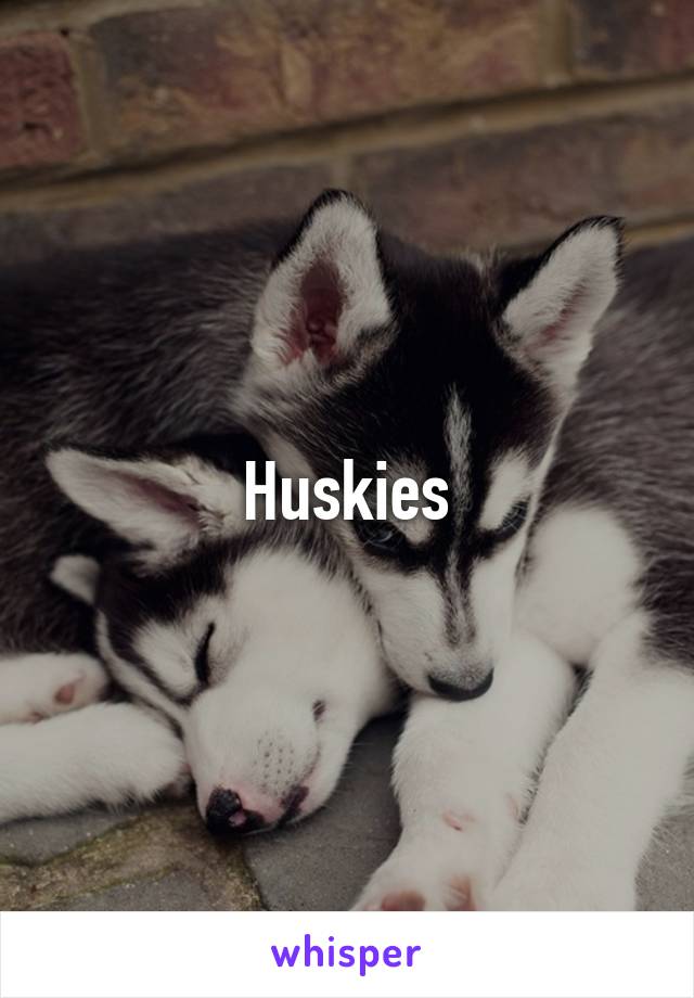 Huskies