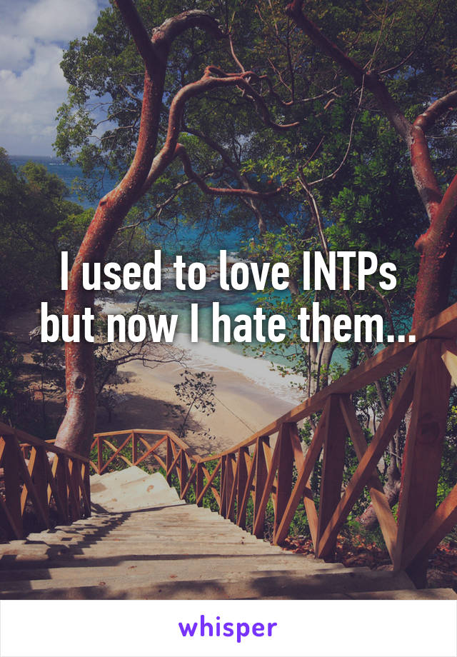 I used to love INTPs but now I hate them...
