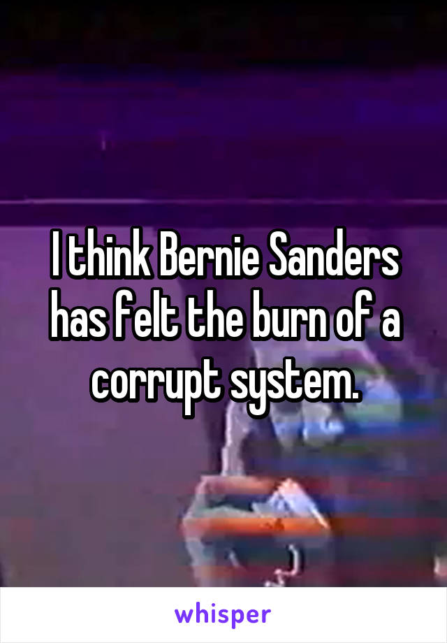 I think Bernie Sanders has felt the burn of a corrupt system.