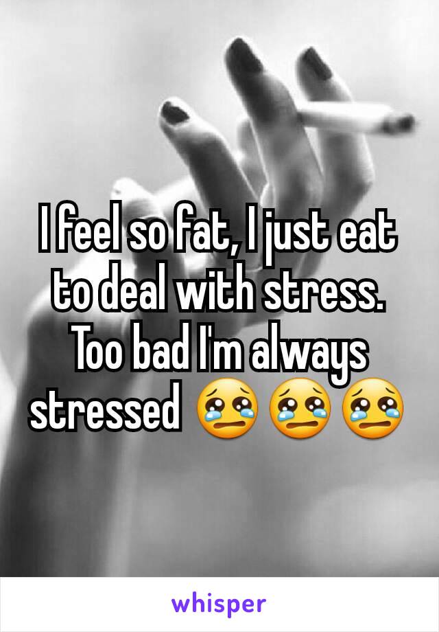 I feel so fat, I just eat to deal with stress. Too bad I'm always stressed 😢😢😢