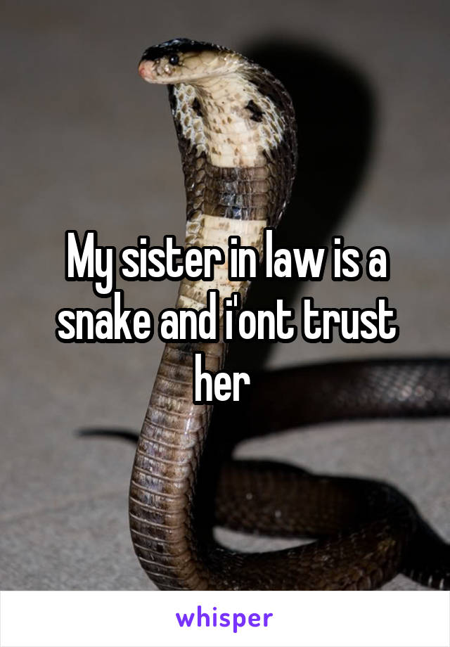 My sister in law is a snake and i'ont trust her 