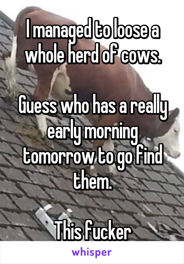 I managed to loose a whole herd of cows.

Guess who has a really early morning tomorrow to go find them.

This fucker