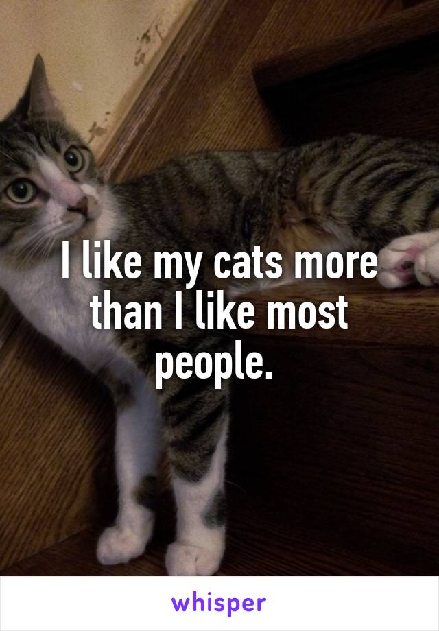 I like my cats more than I like most people. 