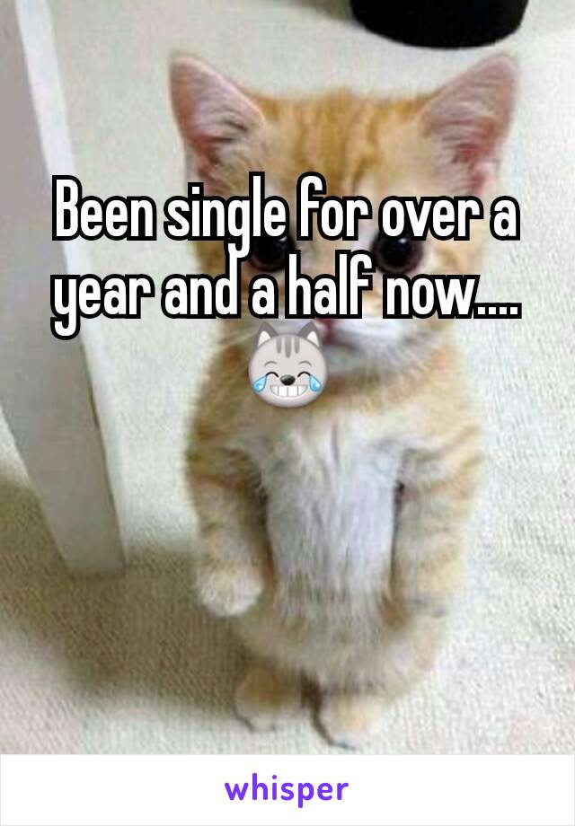 Been single for over a year and a half now....😹