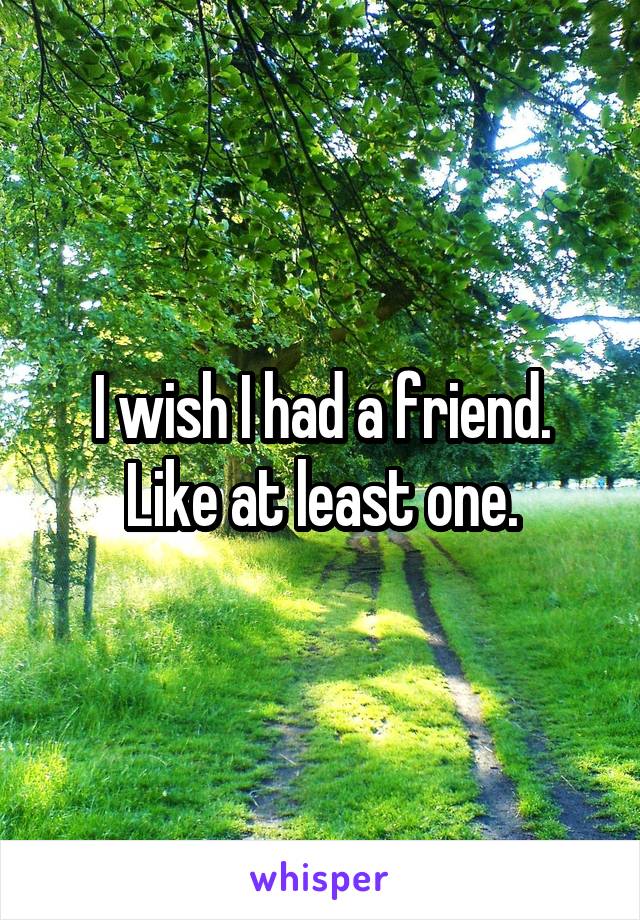 I wish I had a friend. Like at least one.