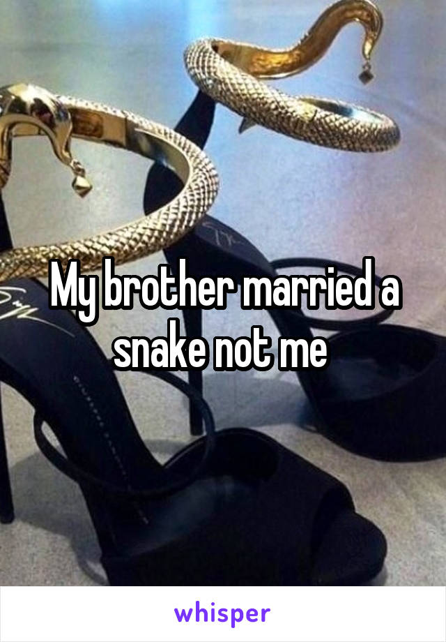 My brother married a snake not me 