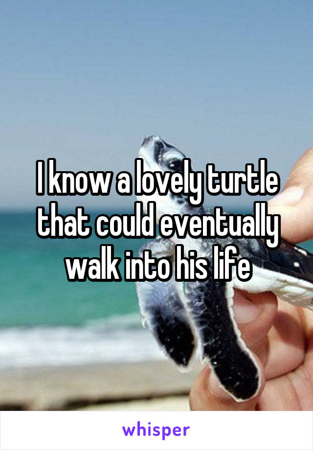 I know a lovely turtle that could eventually walk into his life