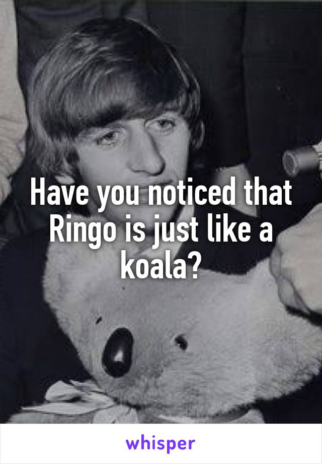 Have you noticed that Ringo is just like a koala?