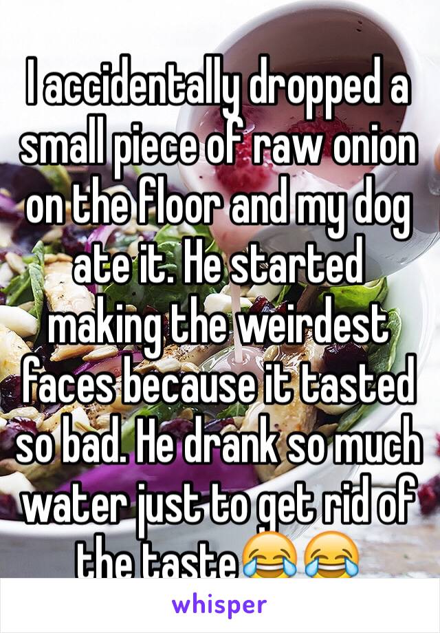 I accidentally dropped a small piece of raw onion on the floor and my dog ate it. He started making the weirdest faces because it tasted so bad. He drank so much water just to get rid of the taste😂😂