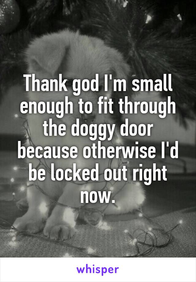 Thank god I'm small enough to fit through the doggy door because otherwise I'd be locked out right now.