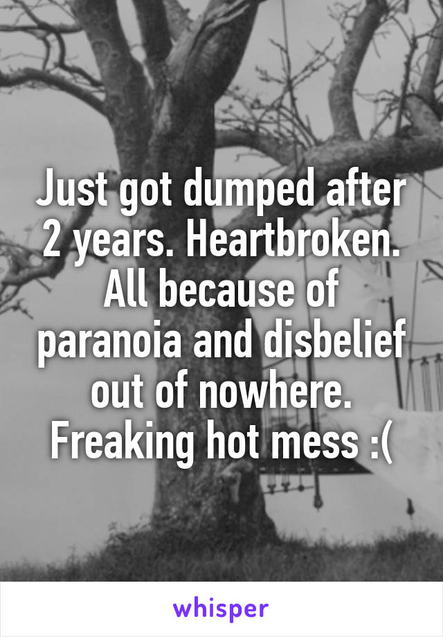 Just got dumped after 2 years. Heartbroken. All because of paranoia and disbelief out of nowhere. Freaking hot mess :(