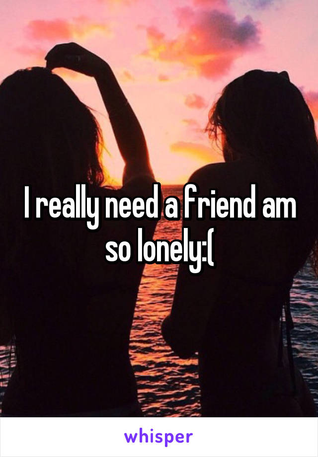 I really need a friend am so lonely:(