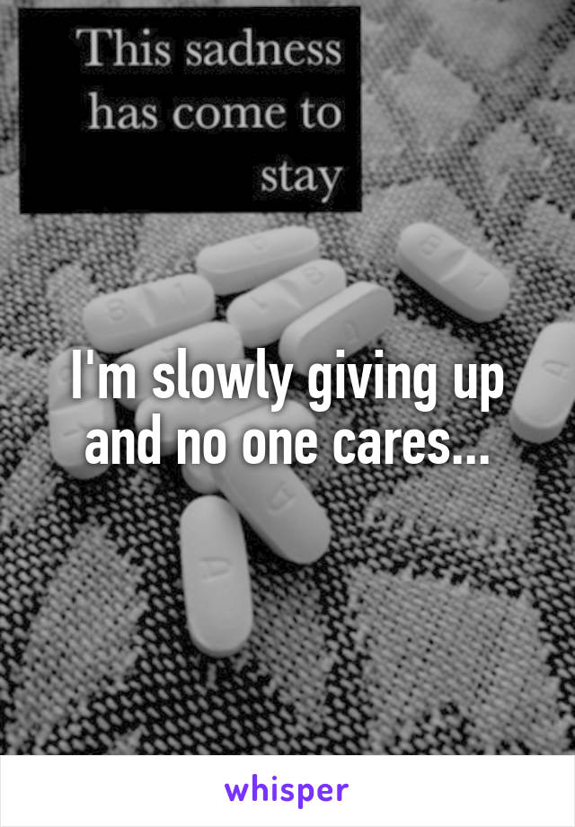 I'm slowly giving up and no one cares...