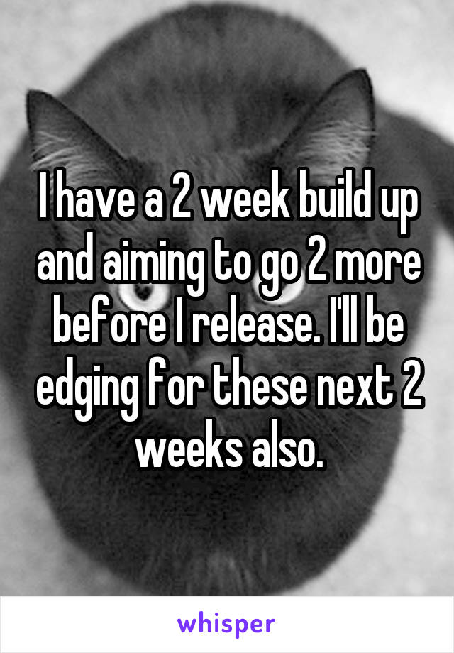 I have a 2 week build up and aiming to go 2 more before I release. I'll be edging for these next 2 weeks also.