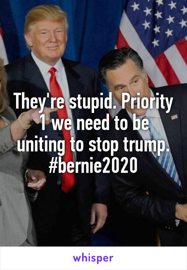 They're stupid. Priority 1 we need to be uniting to stop trump. #bernie2020