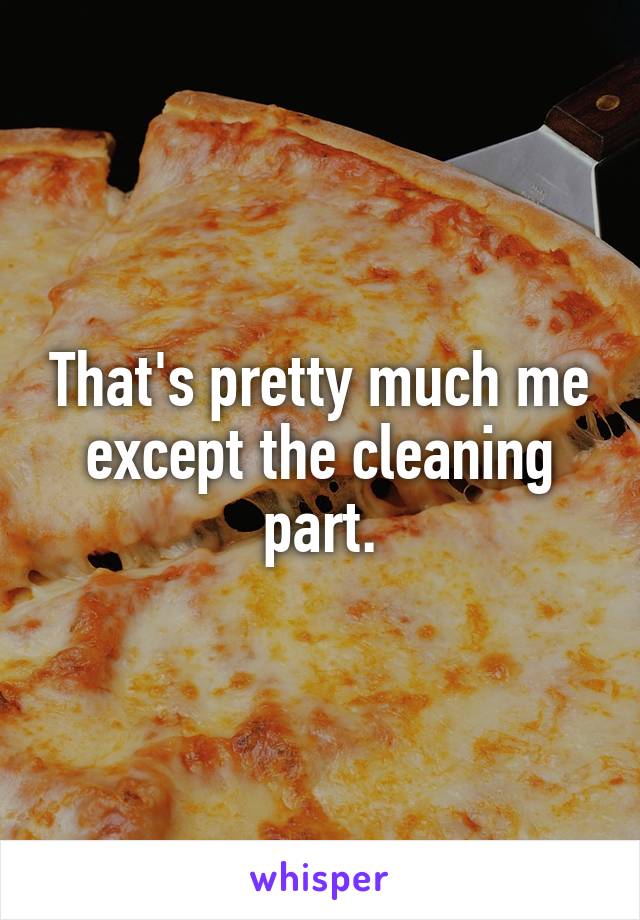 That's pretty much me except the cleaning part.