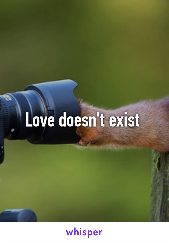 Love doesn't exist 