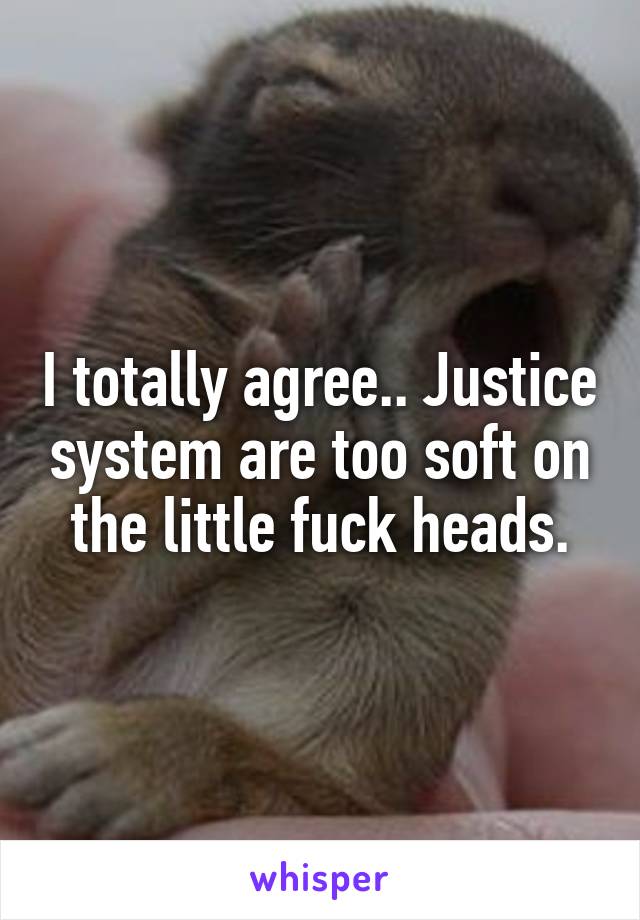 I totally agree.. Justice system are too soft on the little fuck heads.