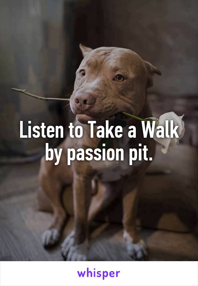 Listen to Take a Walk by passion pit.