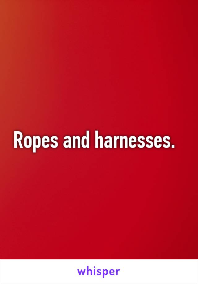 Ropes and harnesses.  