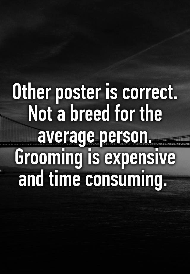 other-poster-is-correct-not-a-breed-for-the-average-person-grooming