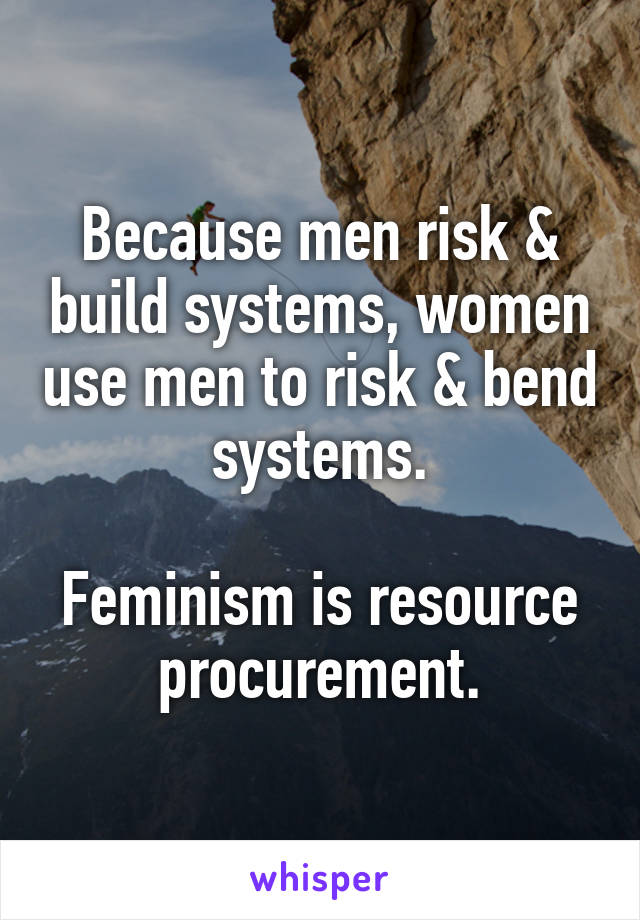 Because men risk & build systems, women use men to risk & bend systems.

Feminism is resource procurement.