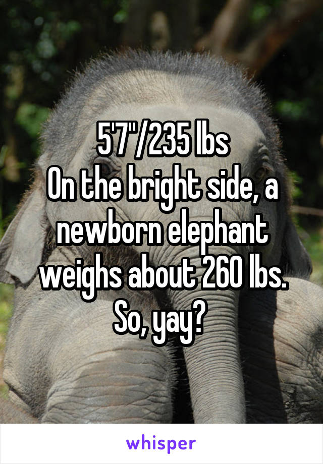 5'7"/235 lbs
On the bright side, a newborn elephant weighs about 260 lbs. So, yay? 