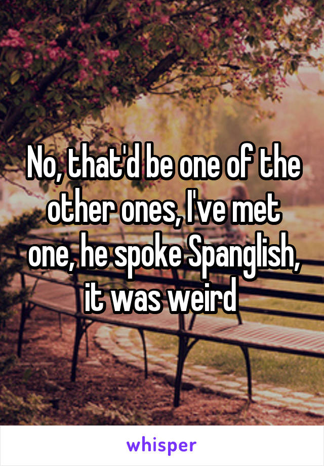 No, that'd be one of the other ones, I've met one, he spoke Spanglish, it was weird 