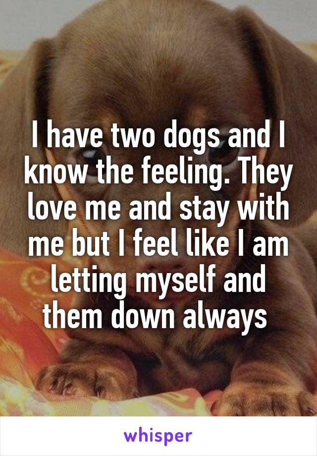 I have two dogs and I know the feeling. They love me and stay with me but I feel like I am letting myself and them down always 