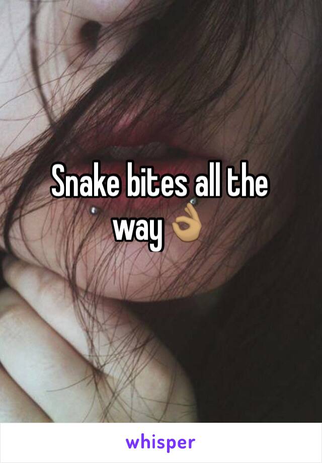 Snake bites all the way👌🏽