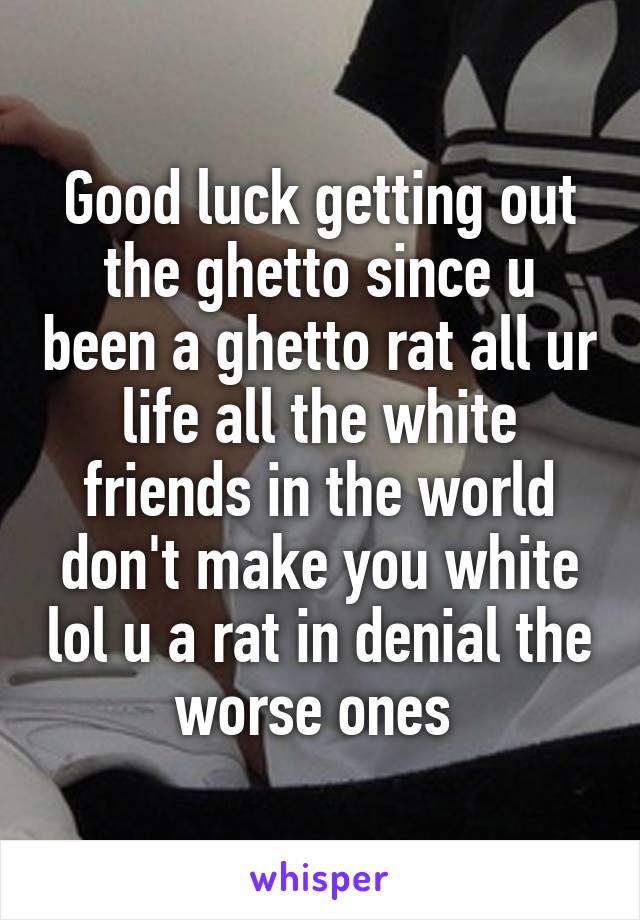 Good luck getting out the ghetto since u been a ghetto rat all ur life all the white friends in the world don't make you white lol u a rat in denial the worse ones 