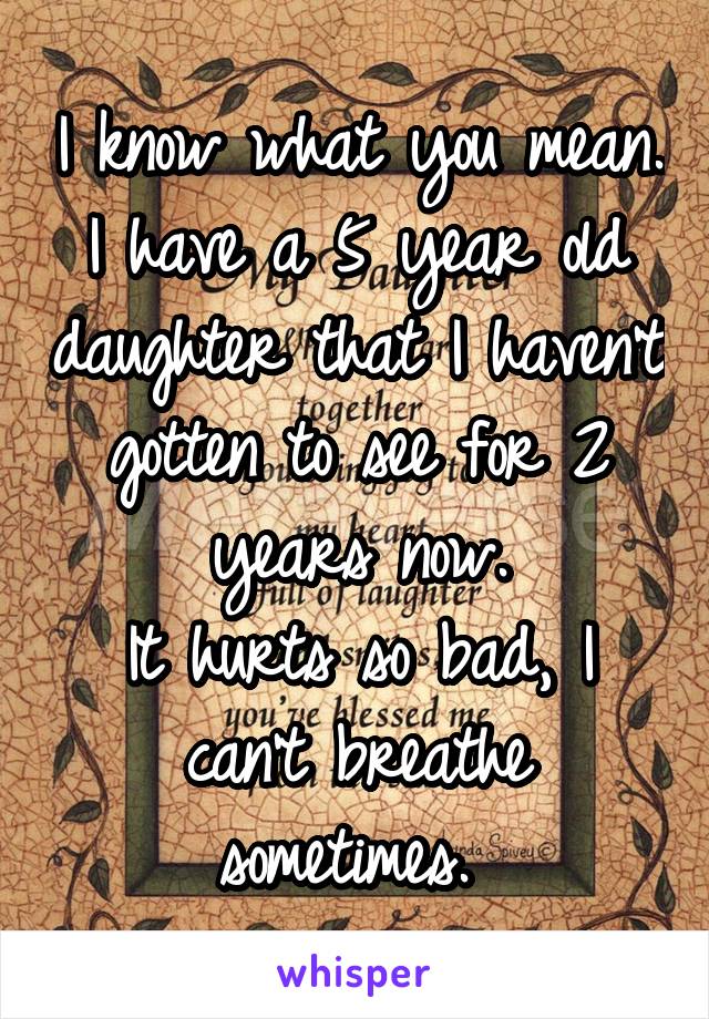 I know what you mean.
I have a 5 year old daughter that I haven't gotten to see for 2 years now.
It hurts so bad, I can't breathe sometimes. 