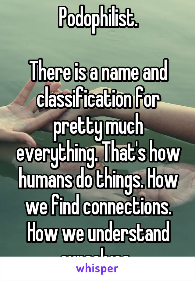 Podophilist.

There is a name and classification for pretty much everything. That's how humans do things. How we find connections. How we understand ourselves. 