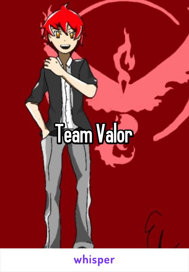 Team Valor 