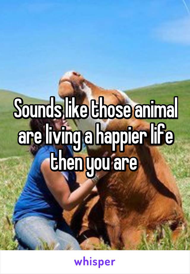 Sounds like those animal are living a happier life then you are 