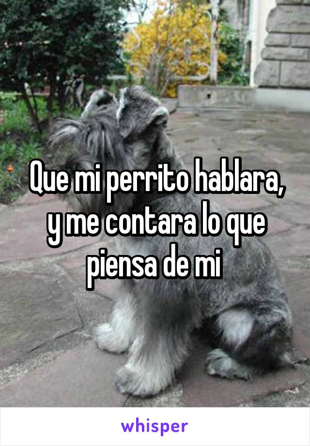 Que mi perrito hablara, y me contara lo que piensa de mi 