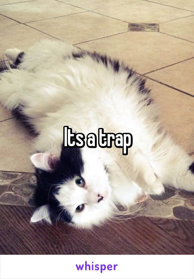 Its a trap