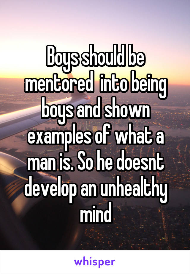 Boys should be mentored  into being boys and shown examples of what a man is. So he doesnt develop an unhealthy mind