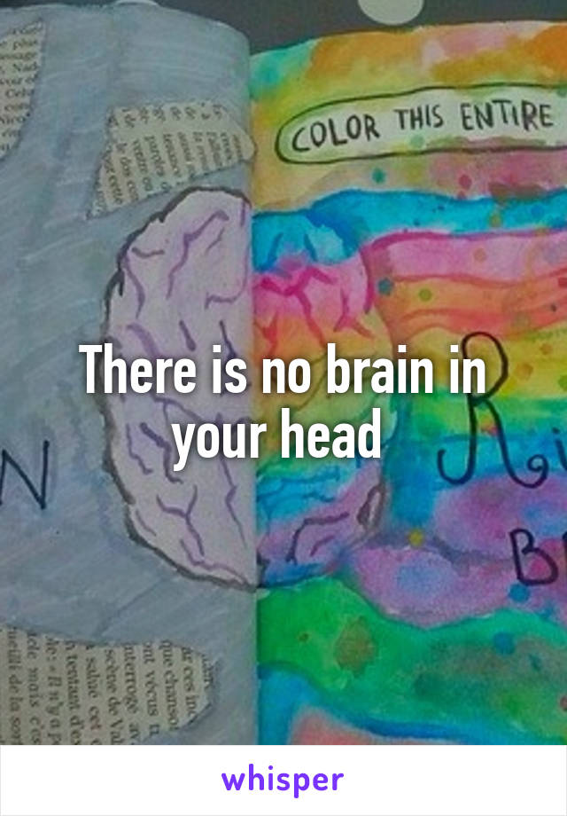 There is no brain in your head 