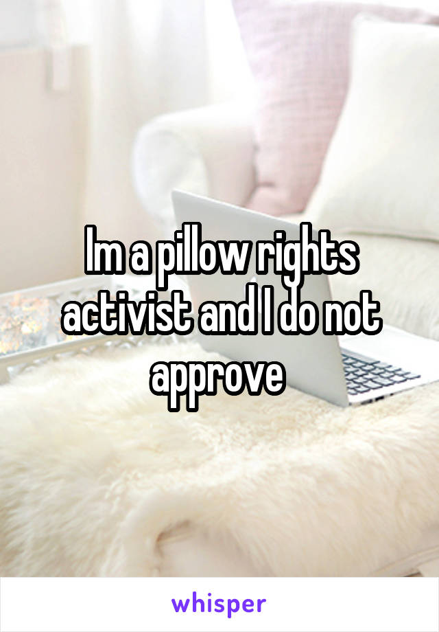 Im a pillow rights activist and I do not approve 