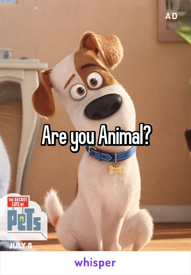 Are you Animal?