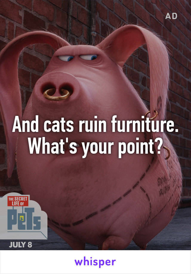 And cats ruin furniture. What's your point?