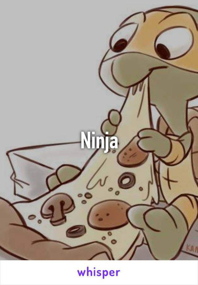 Ninja