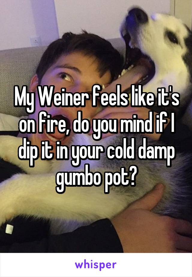 My Weiner feels like it's on fire, do you mind if I dip it in your cold damp gumbo pot?