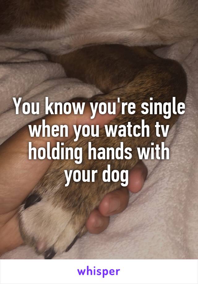 You know you're single when you watch tv holding hands with your dog 